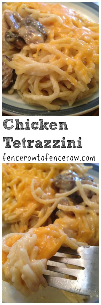 chicken tetrazzini