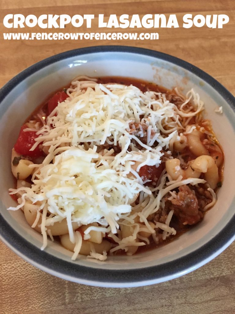 Easy, Comforting, Crockpot Lasagna Soup!