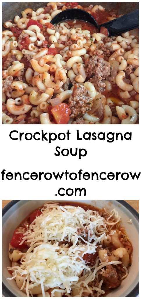 Crockpot Lasagna Soup
